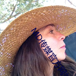 MD传(傳)媒官(官)方网站入口进入
