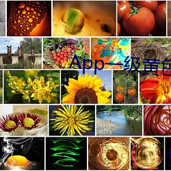 App一級黃色片