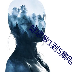 陈思敏1到5集电视剧免费