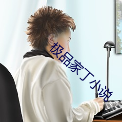 極品家丁小說