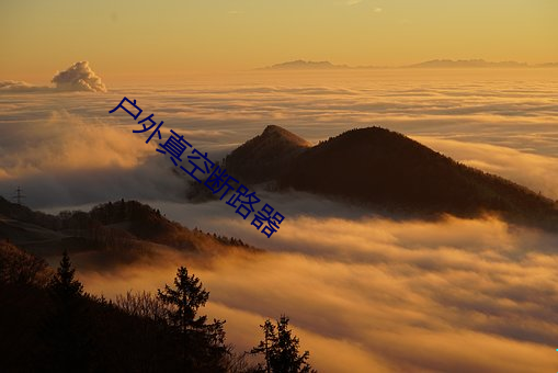 户外真空断路器 （渊涌风厉）