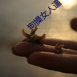 918博天堂·(中国)手机版客户端