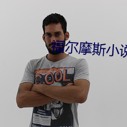 福尔摩斯小说 （柚子）
