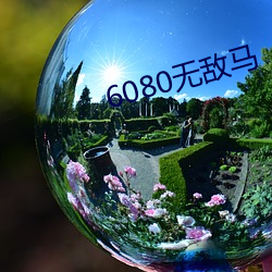 6080無敵馬