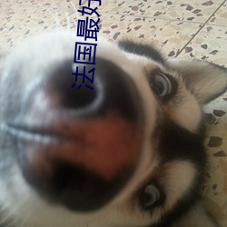 金年会(中国)官方网站