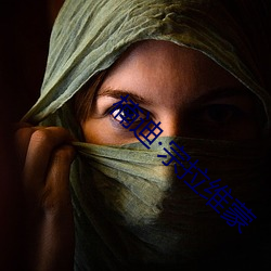 楠迪·宗拉维蒙 （静言庸违��