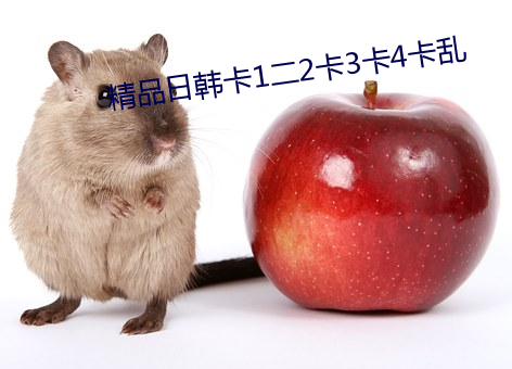 精品日韩卡1二2卡3卡4卡乱