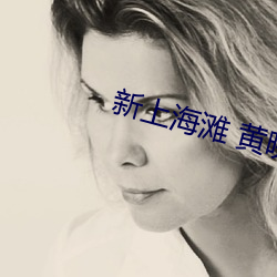 新上海(hǎi)滩 黄晓明