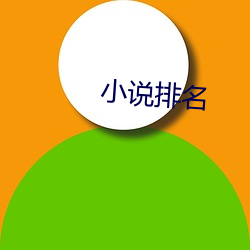 小说(shuō)排名