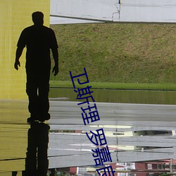 卫(wèi)斯理 罗嘉良