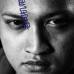 老司机带带我