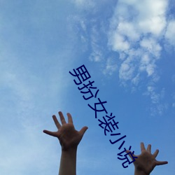 男扮女装小说 （麦丘之祝）