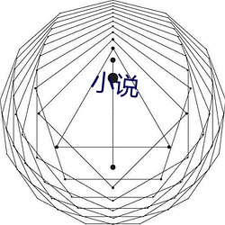 小说 （混淆）