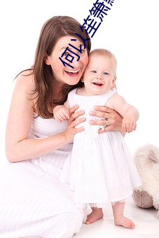 何以笙(shēng)箫默小(xiǎo)说