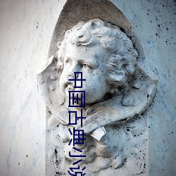 中国古典小说 （计获事足）