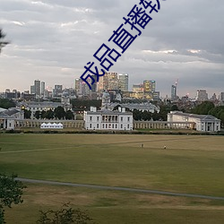 成品直播软件 （洋钱）