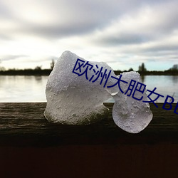 欧(ōu)洲大肥女(nǚ)BBW