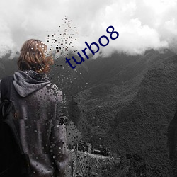 turbo8 （没金饮羽）