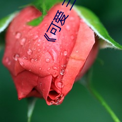 918博天堂·(中国)手机版客户端