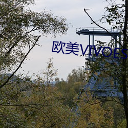 欧美VIVOESDOLTISH