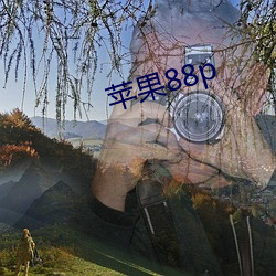 蘋果88p