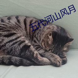 五代河山风月