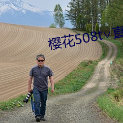 樱花508t∨直播