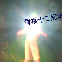 青樓十二房電影