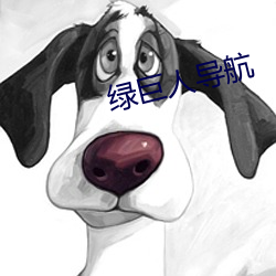 绿巨人导(dǎo)航