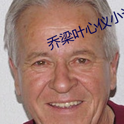 乔梁叶心仪小说