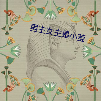 男主女主是小莹
