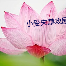 小受失禁攻尿进去 （千乘万骑）