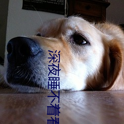 深夜睡不着看点害羞的