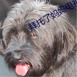 拜托了媽媽電視劇韓劇免費