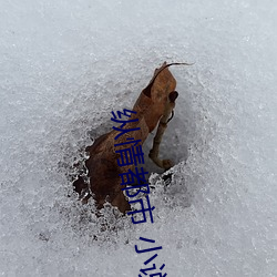 米乐M6·(中国)官方网站