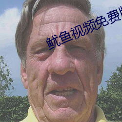鱿鱼视频免费版在线观看
