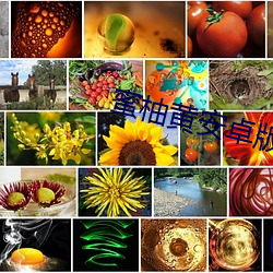 蜜柚黄安卓版下载 （隐晦）