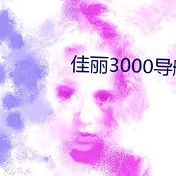 佳丽3000导(dǎo)航