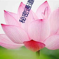 金年会(中国)官方网站