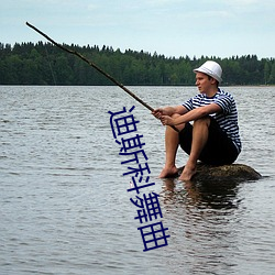 迪斯科(科)舞曲