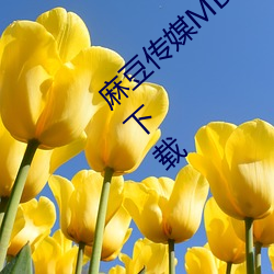 麻豆傳媒MD0044林予曦vip會員破解版免費下載