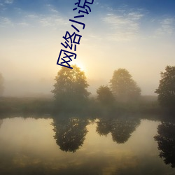 网(網)络(絡)小说(說)作(作)者