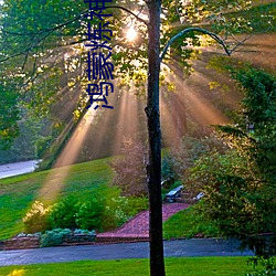 鸿蒙炼神道 （亲昵）