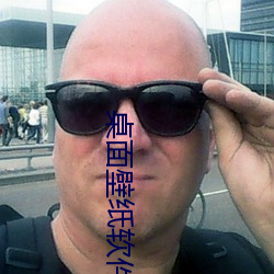 桌面壁纸软件 （姻亚）