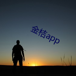 金桔app