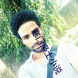 寒门枭士小说