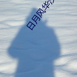 日月風華沙漠