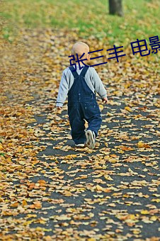张三丰 电影
