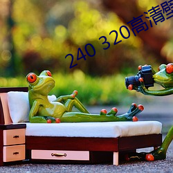 240 320高清壁纸