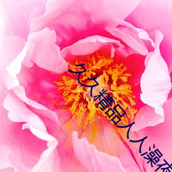 久久精品人人澡夜夜澡